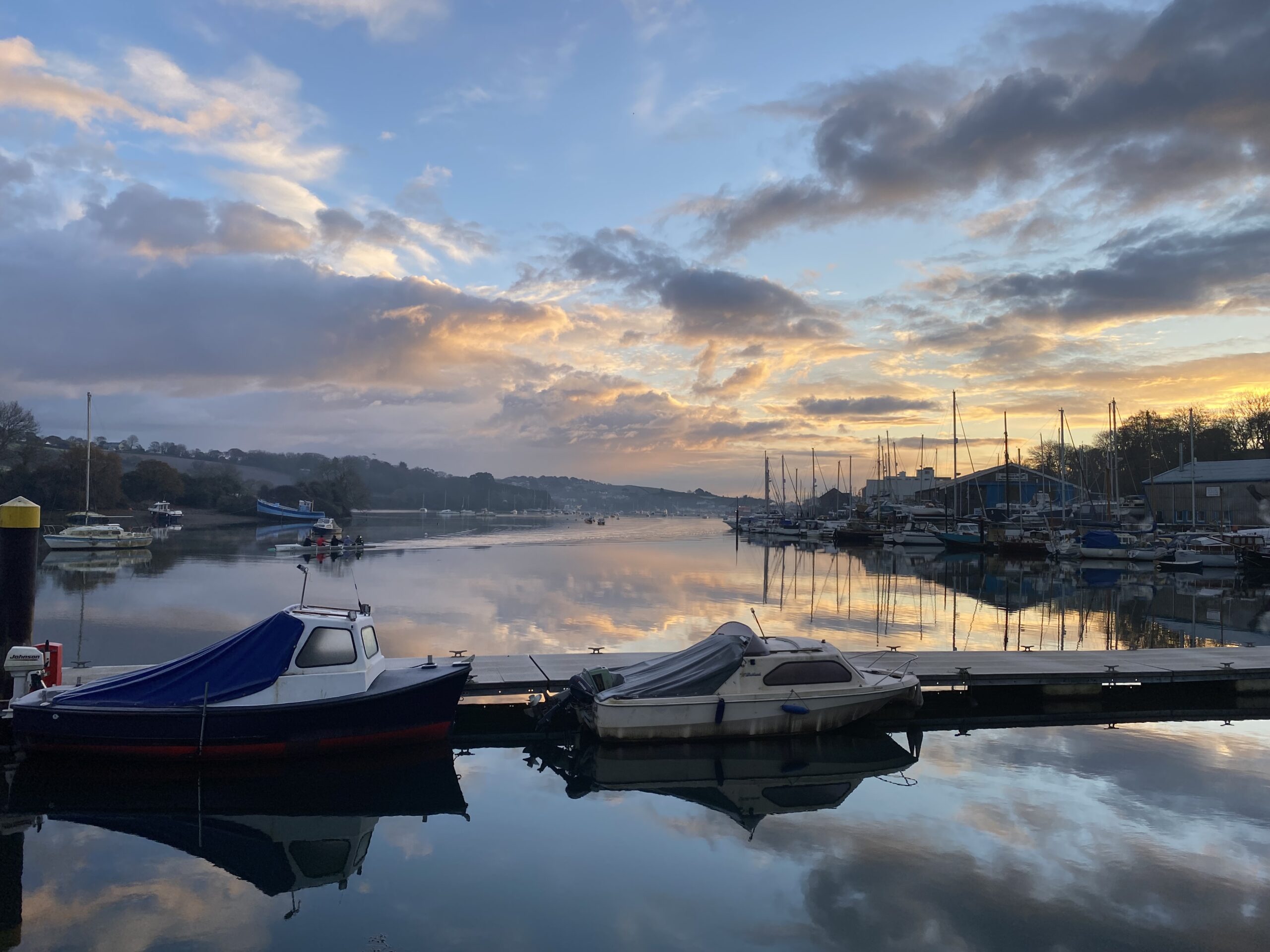 Penny at dawn